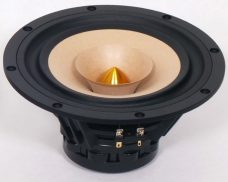 Tang-Band W8-1772