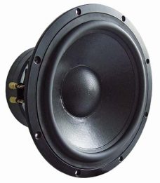 Visaton TIW 300 - 8 Ohm